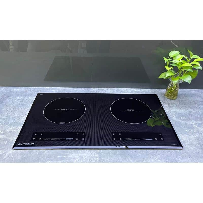 Ảnh thực tế bếp từ 2 vùng nấu Eurosun EU-T210Max Ảnh thực tế bếp từ 2 vùng nấu Eurosun EU-T210Max