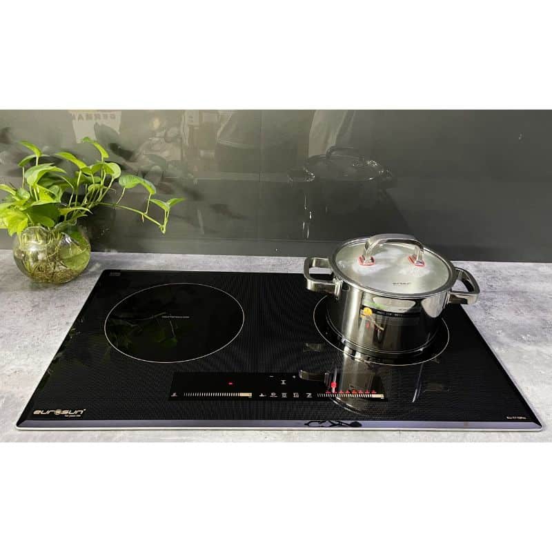 Ảnh thực tế bếp từ 2 vùng nấu Eurosun EU-T710Pro Ảnh thực tế bếp từ 2 vùng nấu Eurosun EU-T710Pro