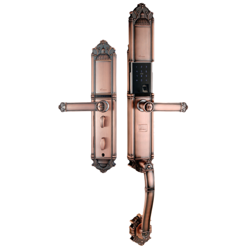 khoa-cua-dien-tu-demax-sl821.png khoa cua dien tu demax sl821