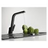 Vòi rửa Teka Sink faucet IC 915 Black 2 Vòi rửa Teka Sink faucet IC 915 Black