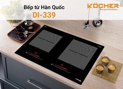 DI-339-1 DI 339 1