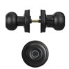 Khóa cửa vân tay Demax SL106 BL 2 sl106 bl