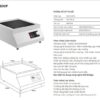 Bếp từ công nghiệp Kocher CI-3600F 1 0