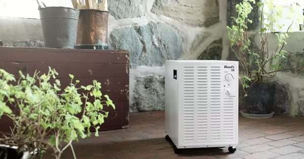 Máy hút ẩm Wood’s SW22FW 9 Ảnh thực tế máy hút ẩm Wood’s SW22FW