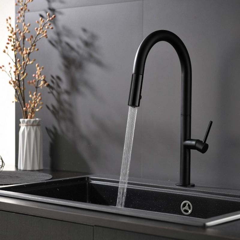 Ảnh vòi rửa bát nóng lạnh Kluger KLF0010B có dây rút Ảnh vòi rửa bát nóng lạnh Kluger KLF0010B có dây rút