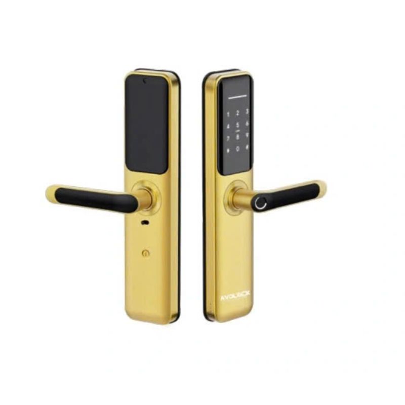Khóa cửa vân tay Avolock AV-63-Gold Khóa cửa vân tay Avolock AV-63-Gold