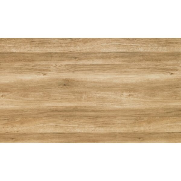 tam-ecoveneer-evs-4402.jpg tam ecoveneer evs 4402 e1748329379794