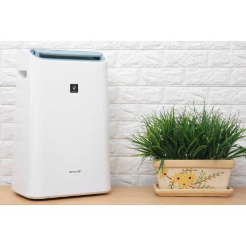 Máy lọc không khí và hút ẩm Sharp DW-E16FA-W 2 Ảnh máy lọc không khí và hút ẩm Sharp DW-E16FA-W