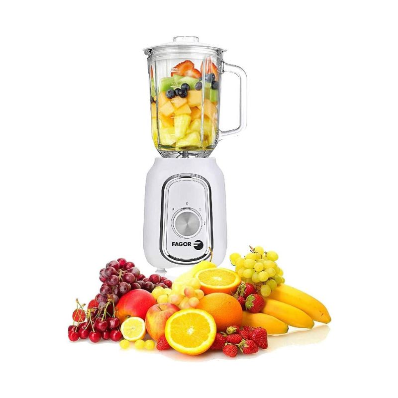 Máy xay sinh tố Fagor FG2140