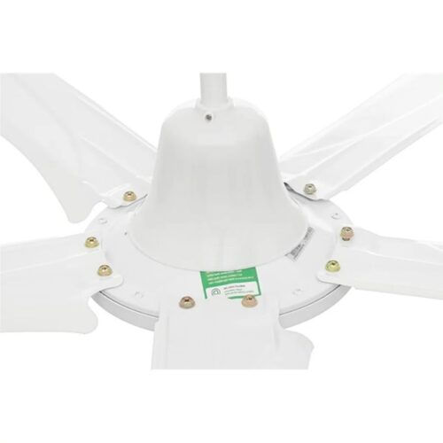 Quạt trần Rapido RCF-5W 3 anh quat tran rapido rcf5w