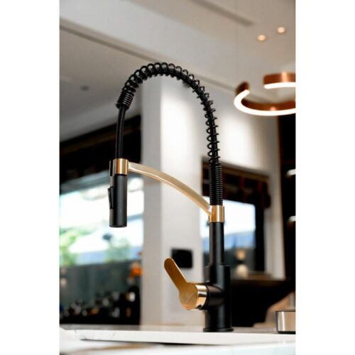 Vòi rửa bát Wasserwerk WK 3 black/matt gold, with spiral spring 700558 2 anh voi rua bat wasserwerk wk 3 black matt gold with spiral spring 700558