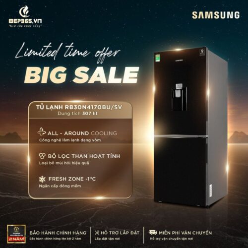 Tủ Lạnh 2 cánh Inverter 307 Lít Samsung RB30N4170BU/SV