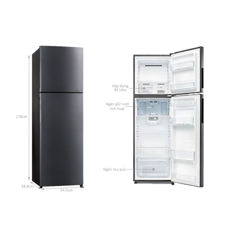 kich-thuoc-tu-lanh-2-canh-inverter-253-lit-sharp-sj-x282ae-ds.jpg kich thuoc tu lanh 2 canh inverter 253 lit sharp sj x282ae ds