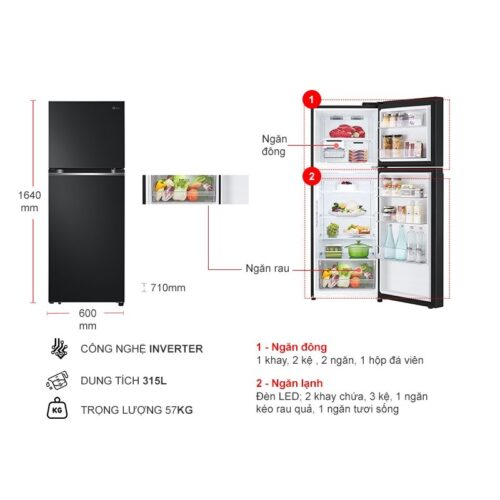 Tủ Lạnh 2 cánh Inverter 315 Lít LG LTB31BLM 5 kich thuoc tu lanh 2 canh inverter 315 lit lg ltb31blm