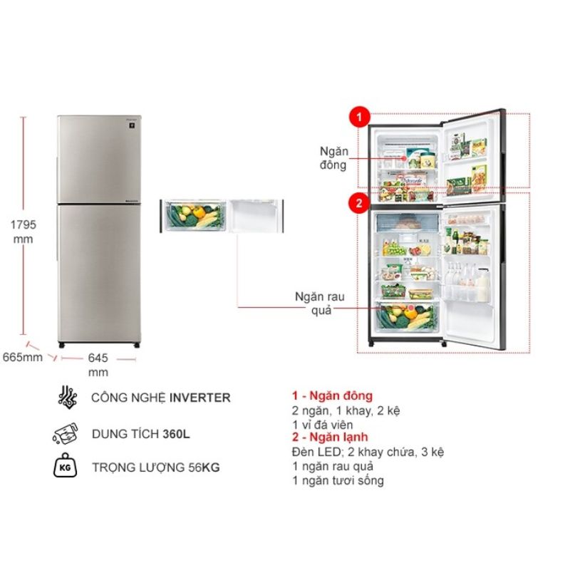 kich-thuoc-tu-lanh-2-canh-inverter-360-lit-sharp-sj-xp382ae-sl.jpg kich thuoc tu lanh 2 canh inverter 360 lit sharp sj xp382ae sl