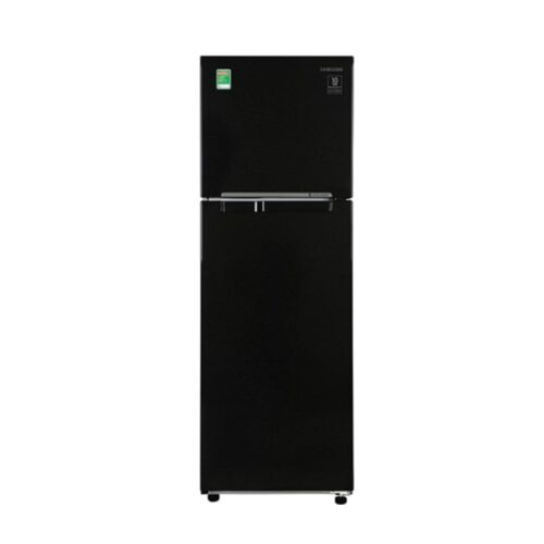 Tủ lạnh Samsung Inverter 256 lít RT25M4032BU/SV