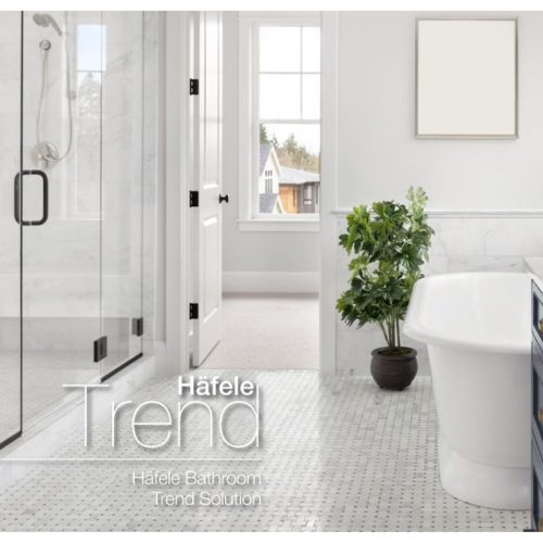 Tay nắm phòng tắm kính Hafele 903.12.371 3 Ảnh tay nắm phòng tắm kính Hafele 903.12.371