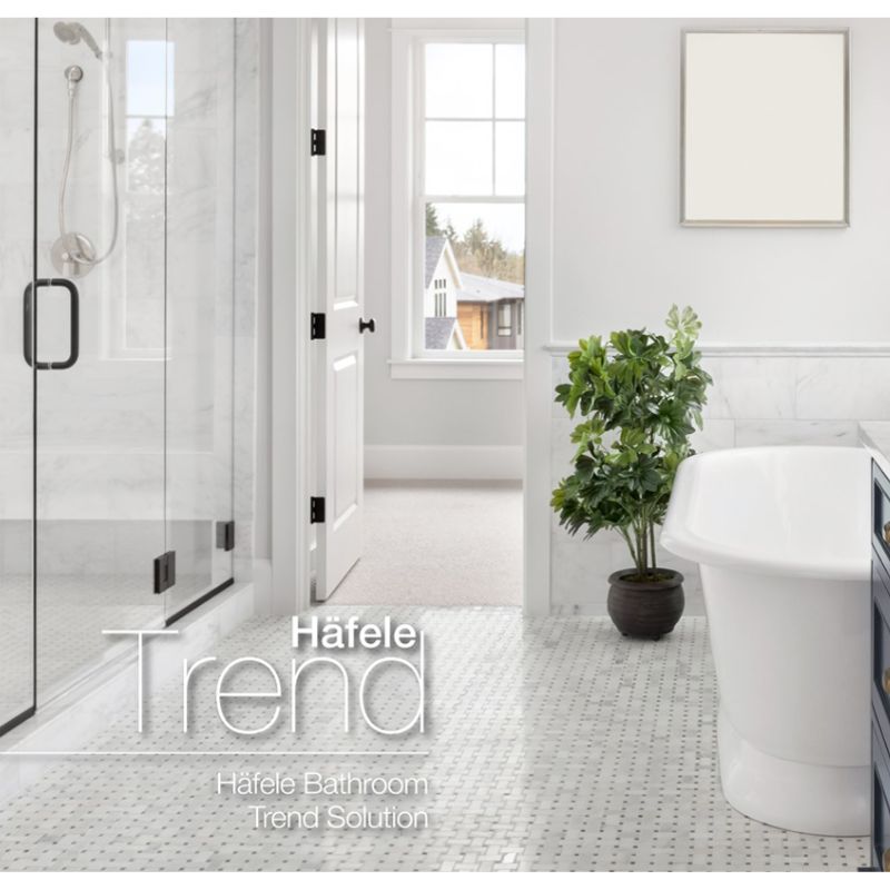 Ảnh tay nắm phòng tắm kính Hafele 903.12.371 Ảnh tay nắm phòng tắm kính Hafele 903.12.371