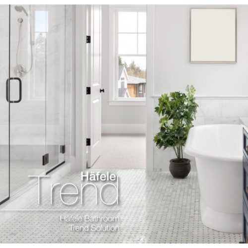 Ảnh tay nắm phòng tắm kính 500mm Hafele 903.12.373