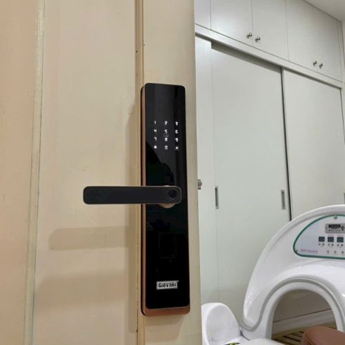 anh khoa van tay thong minh giovani gsl 168g