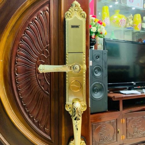 anh khoa van tay thong minh giovani gsl a165