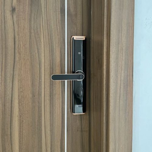 anh khoa van tay thong minh giovani gsl a3br