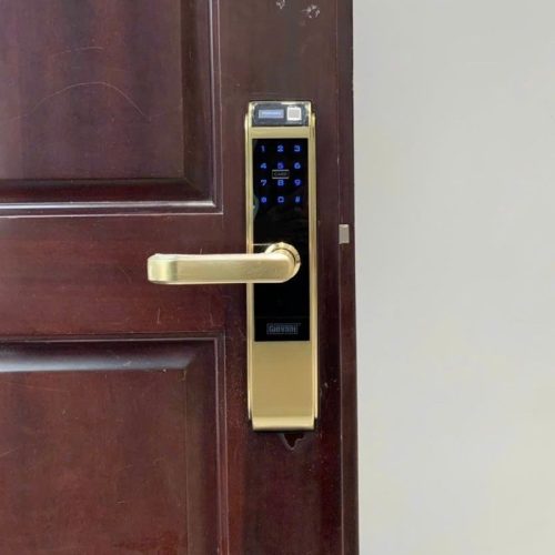 anh khoa van tay thong minh giovani gsl c138fg