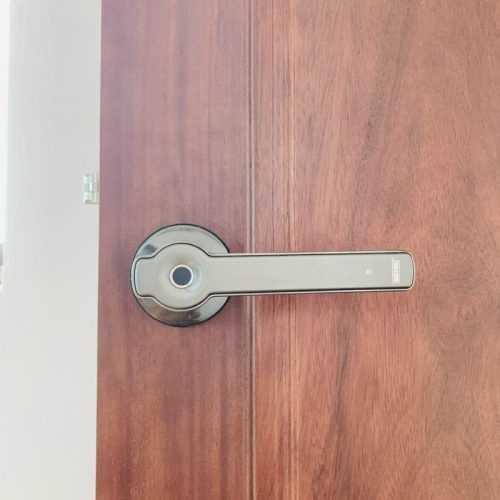 anh khoa van tay thong minh giovani gsl s3