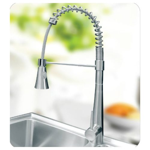 anh voi rua giovani gf 306 ds