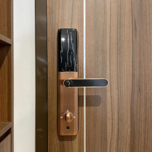 hinh anh khoa van tay thong minh giovani gsl a3br