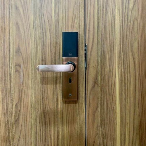 hinh anh khoa van tay thong minh giovani gsl k591c