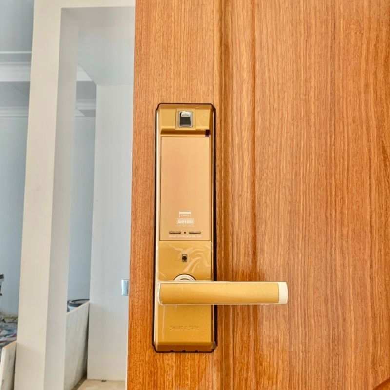 Ảnh khóa vân tay thông minh GIOVANI GSL-K66FG Ảnh khóa vân tay thông minh GIOVANI GSL-K66FG