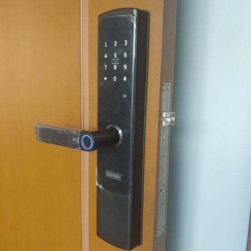 Ảnh khóa vân tay thông minh GIOVANI GSL-U801B