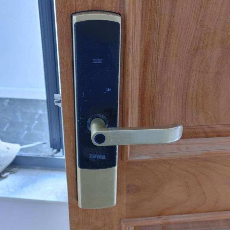 Ảnh khóa vân tay thông minh GIOVANI GSL-U801G Ảnh khóa vân tay thông minh GIOVANI GSL-U801G